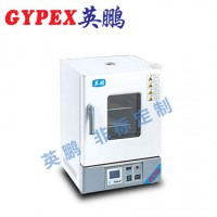 惠州化工廠干燥箱，立式電熱鼓風(fēng)干燥箱